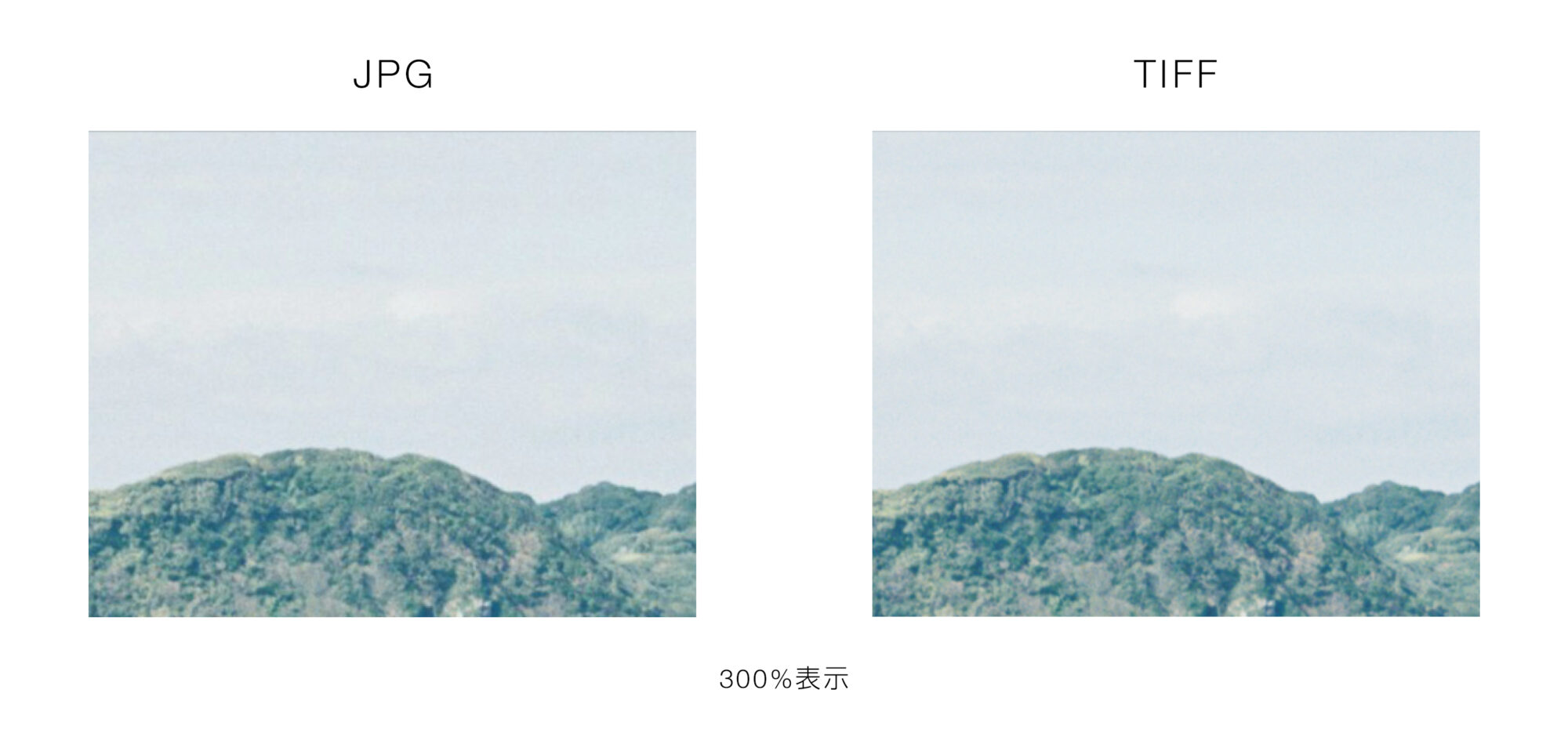 TIFFスキャンについてのお知らせ｜山本写真機店